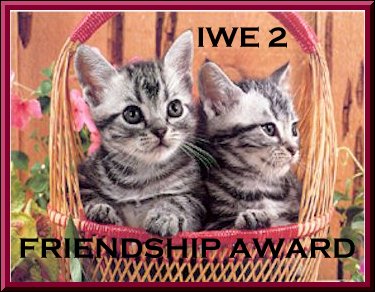 IWE2 Friendship Award