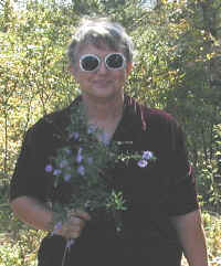 Linda with Prairie Aster Wildflowers - Grows in rocky glades in acid soil up to 3 feet tall - Blooms here in October and November