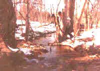 Creek 100 yards from Oak Leaf Schoolhouse